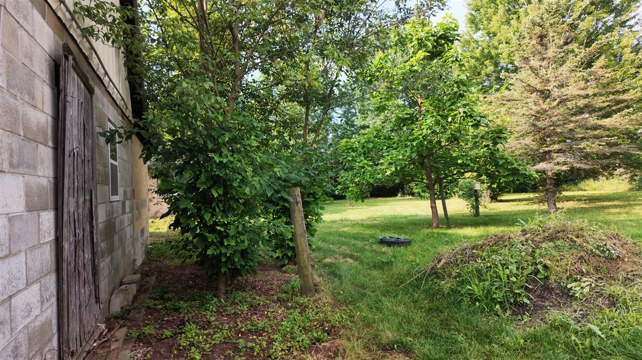 1215 Dale Road Property Photo 13
