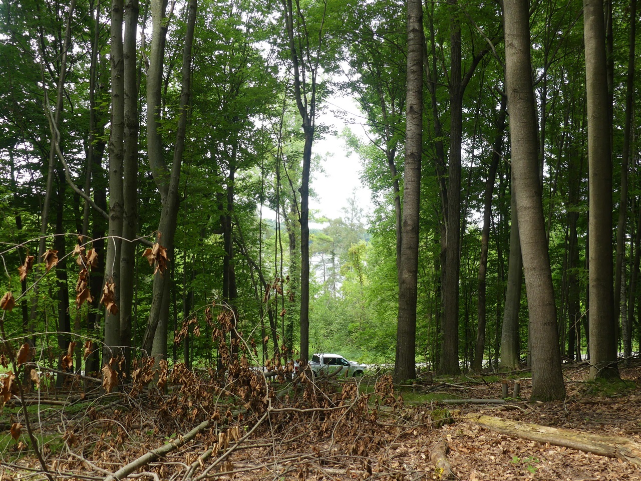 9310 S Benjamin Drive Property Photo 1