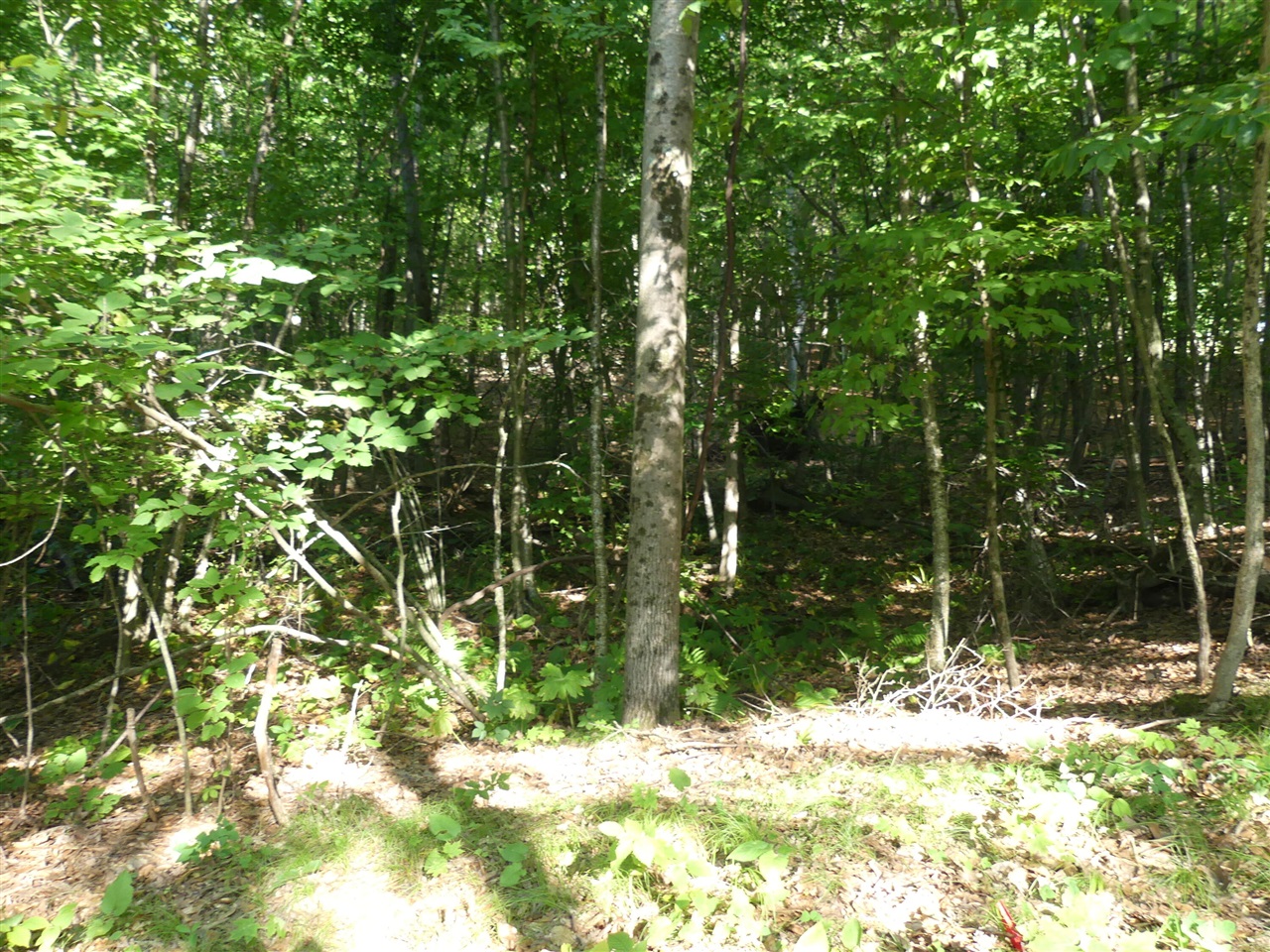 9310 S Benjamin Drive Property Photo 5