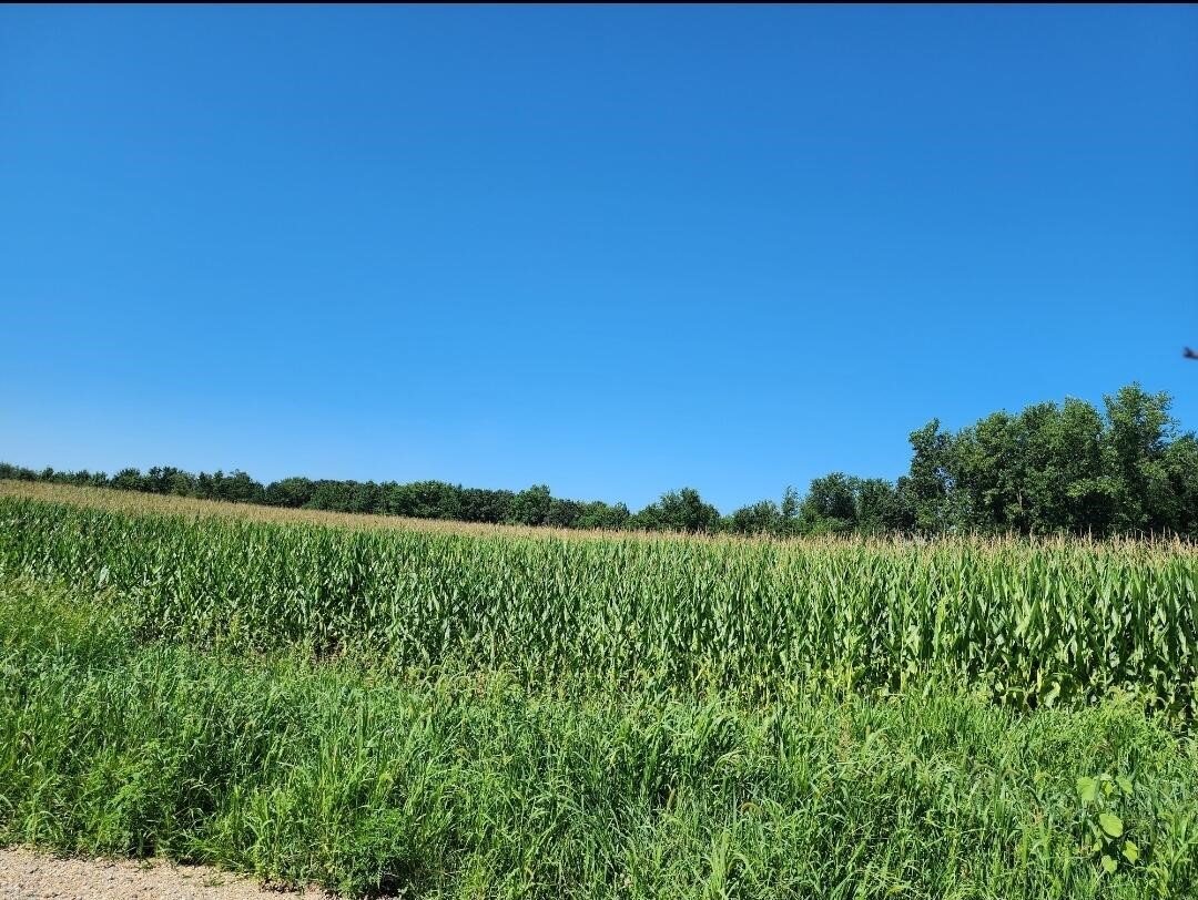 Root V/L Road Property Photo 1