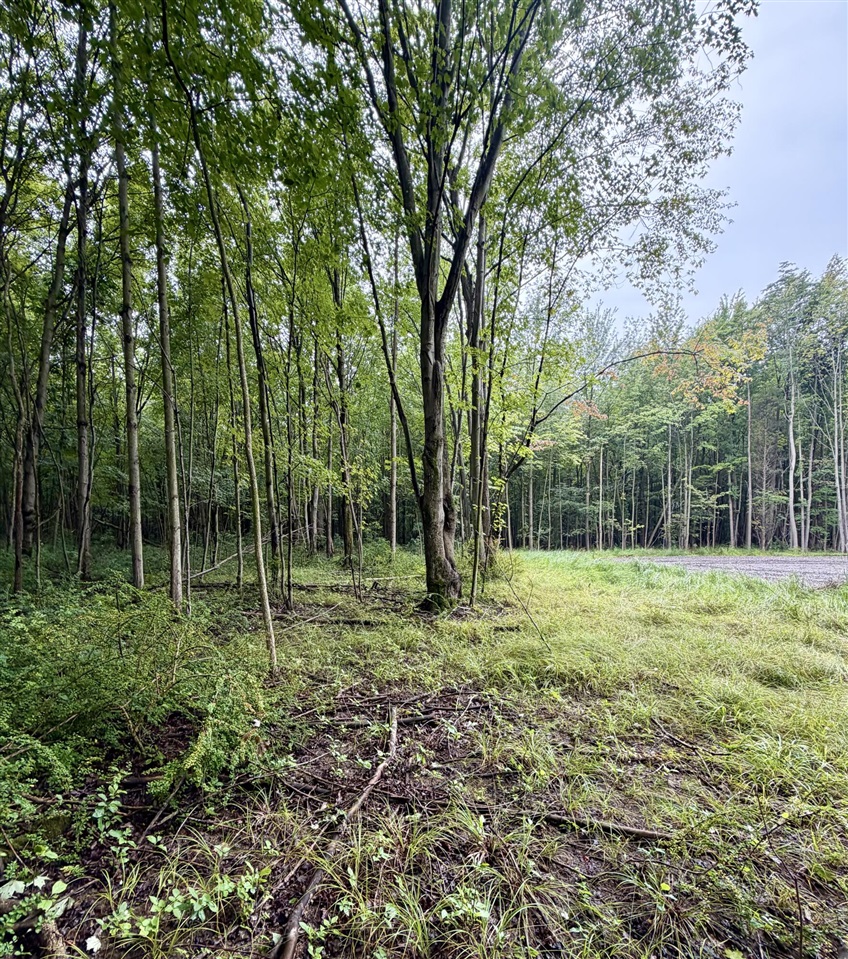 Lot 6 Christopher Lane Property Photo 1