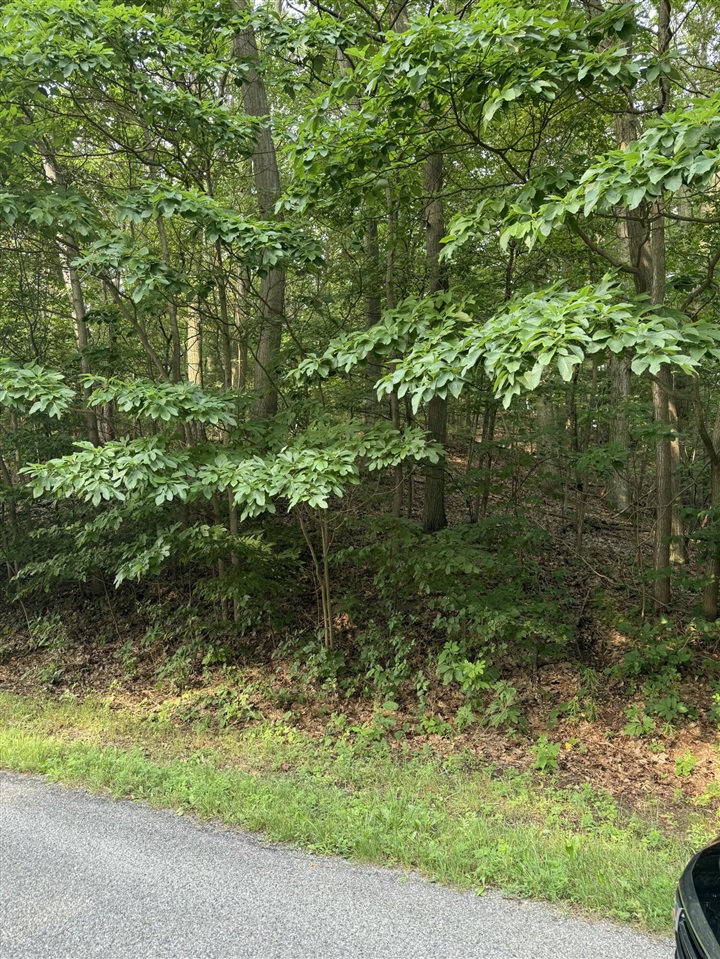 Wildwood Drive Property Photo 1