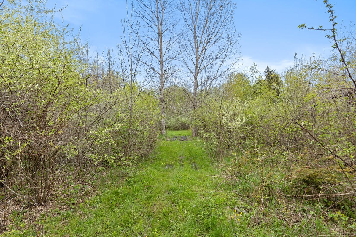 00 6th Avenue Property Photo 13