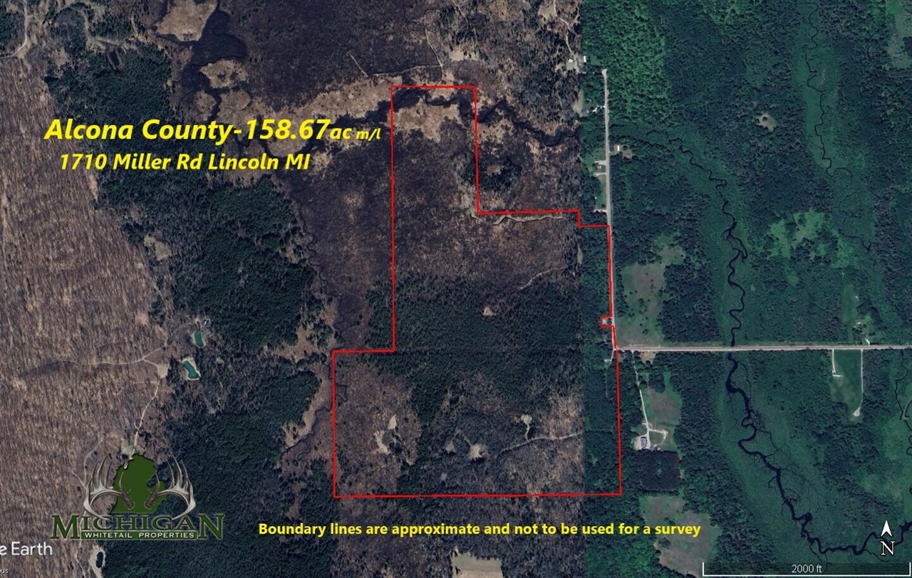 1710 Miller Road Property Photo 2