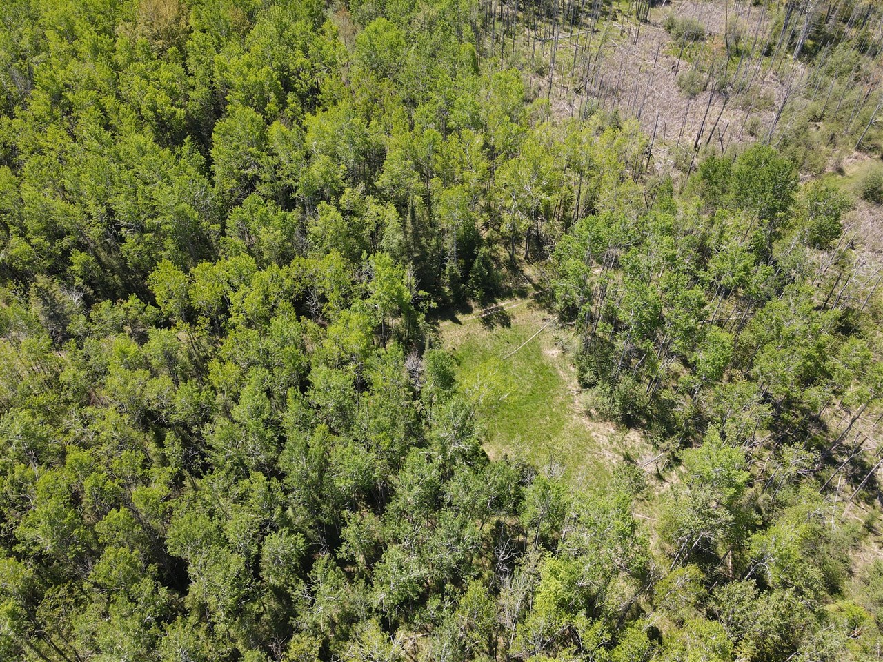 1710 Miller Road Property Photo 31