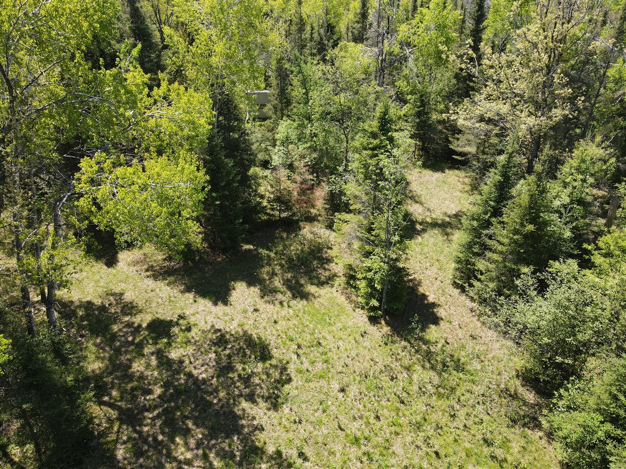 1710 Miller Road Property Photo 41
