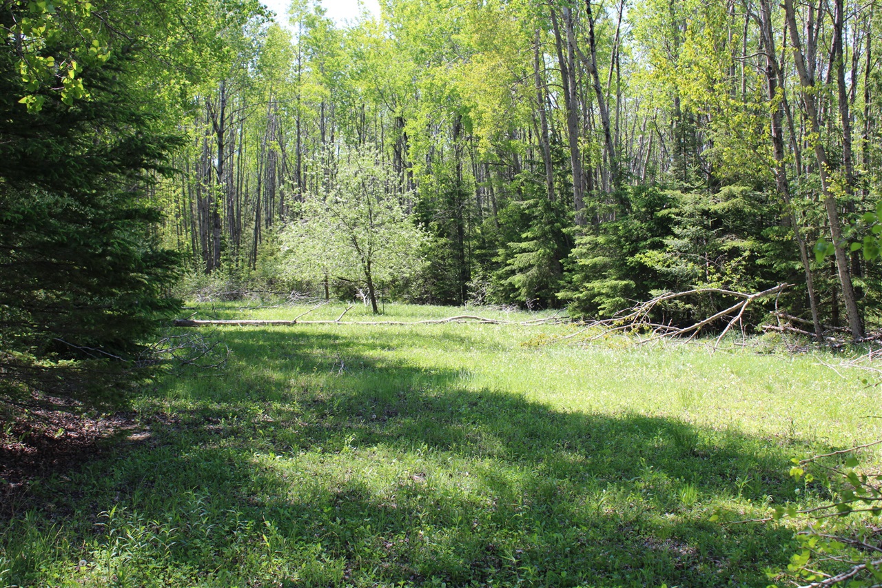 1710 Miller Road Property Photo 43