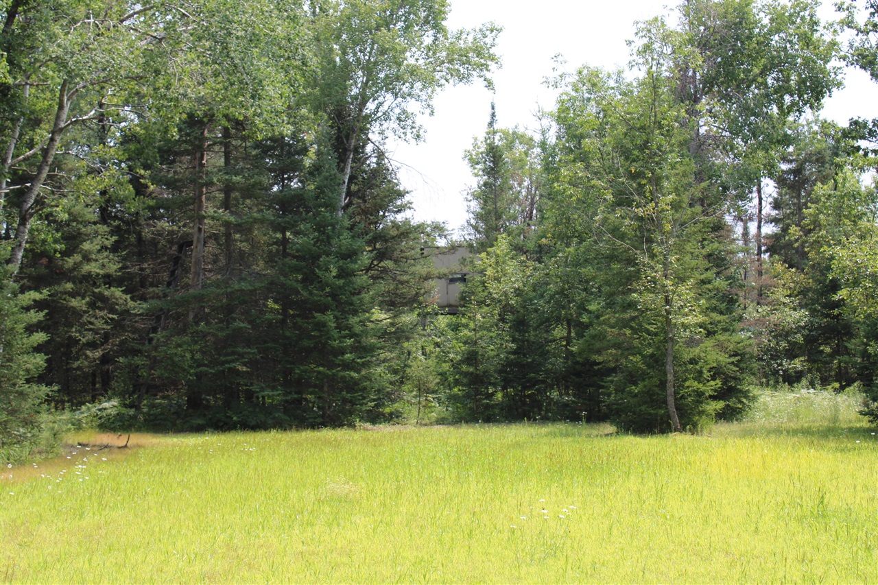 1710 Miller Road Property Photo 54