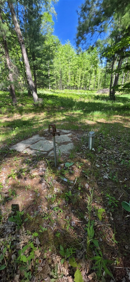 4869 E Free Soil Road Property Photo 10