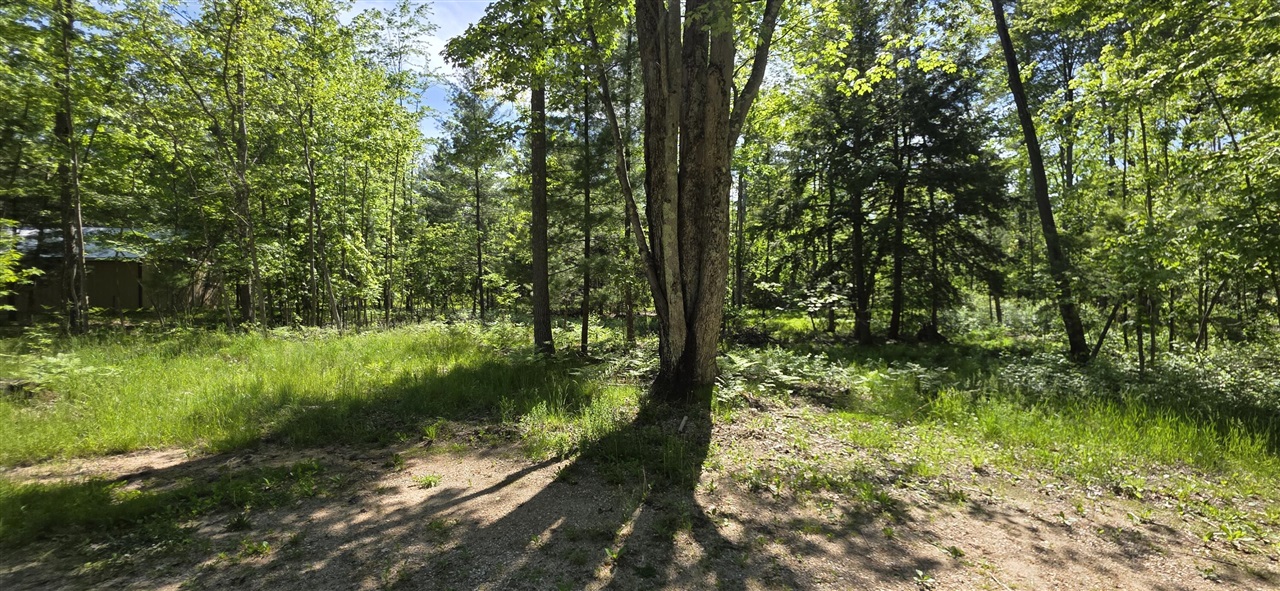 4869 E Free Soil Road Property Photo 11