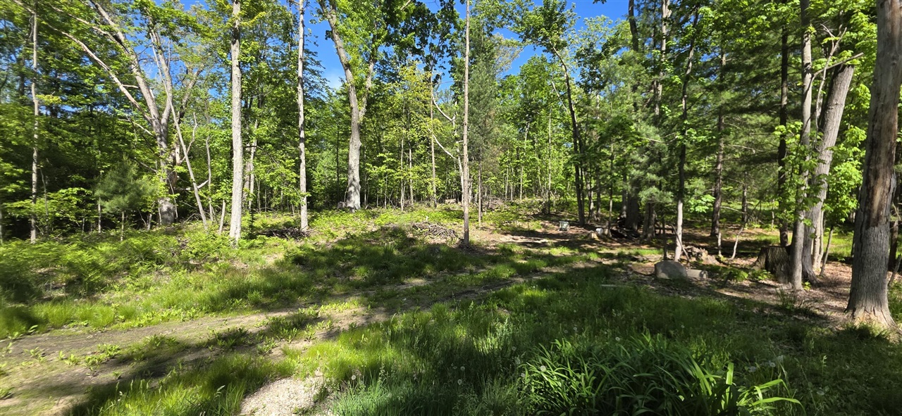 4869 E Free Soil Road Property Photo 12