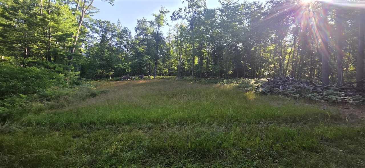 4869 E Free Soil Road Property Photo 13