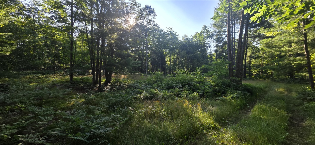 4869 E Free Soil Road Property Photo 14
