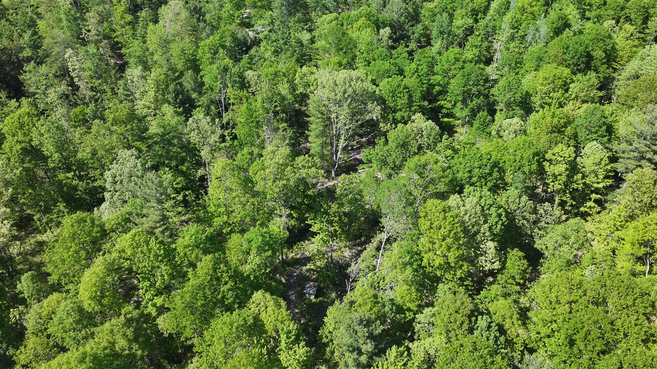 4869 E Free Soil Road Property Photo 40