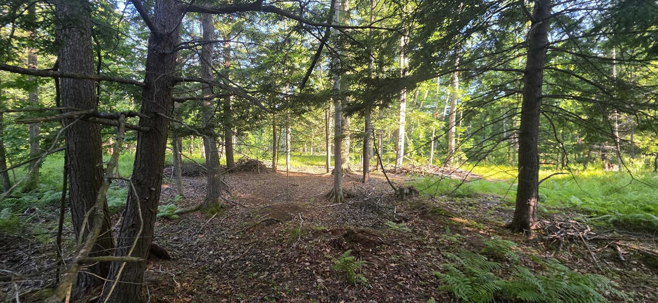 10 Acres E Free Soil Road Property Photo 1