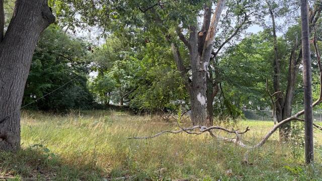 723 Sumner Avenue Property Photo 4