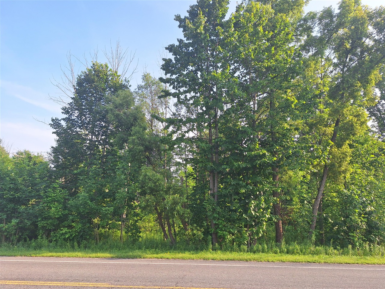 00 Vl 14 Mile Rd Road Property Photo 1