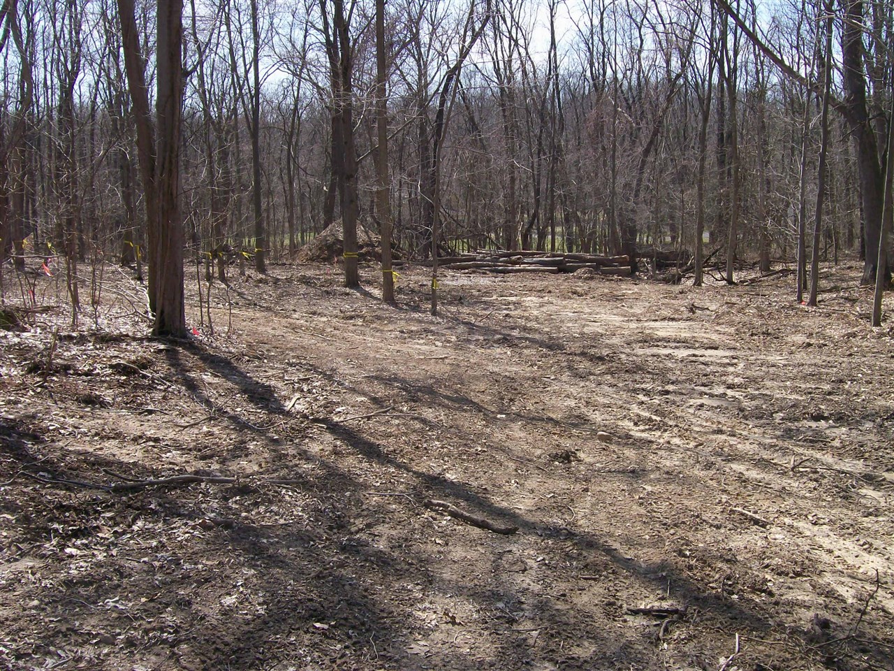 1610 Whitetail Circle Property Photo 3