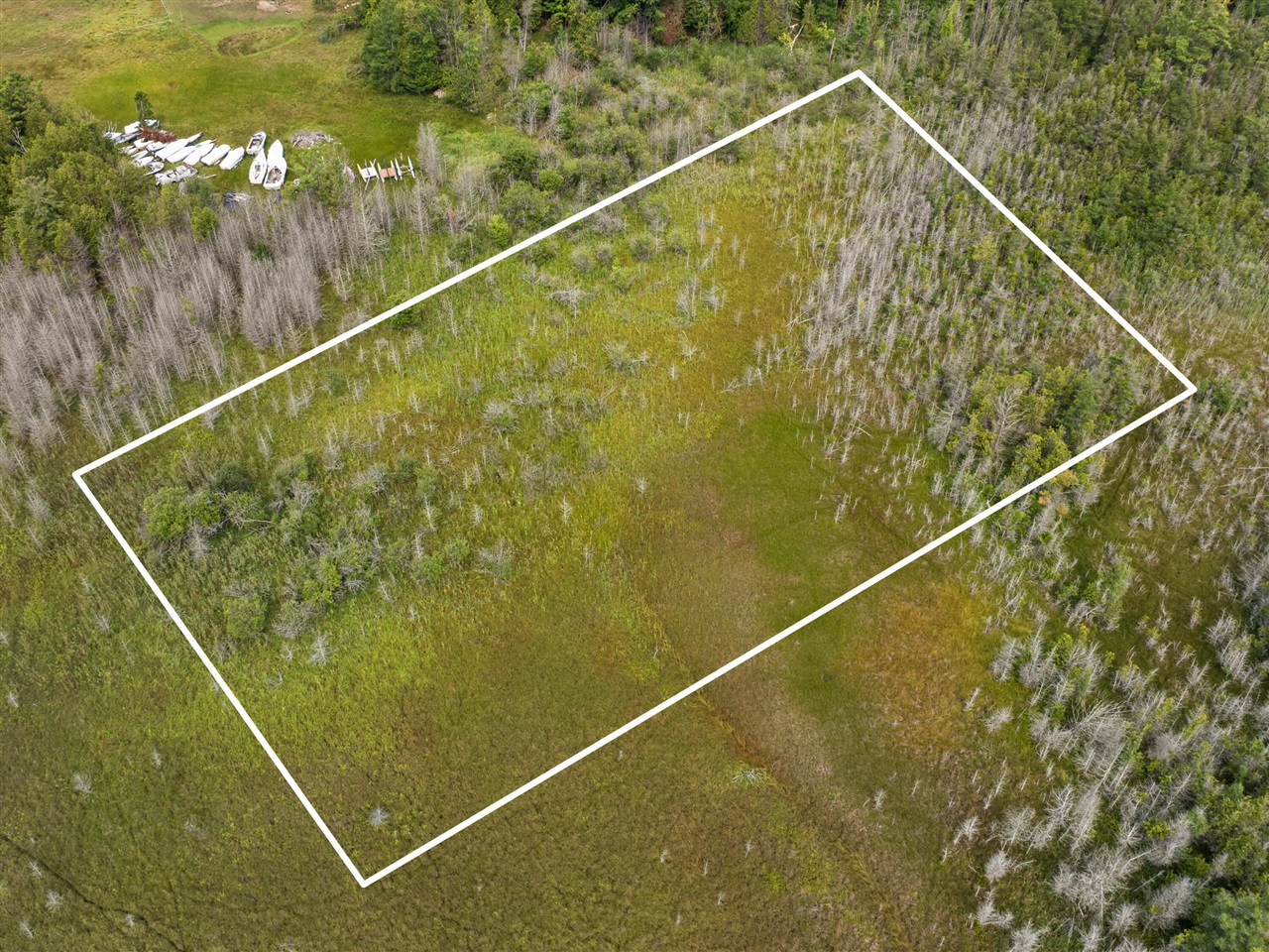 0 Seymour Street Property Photo 4