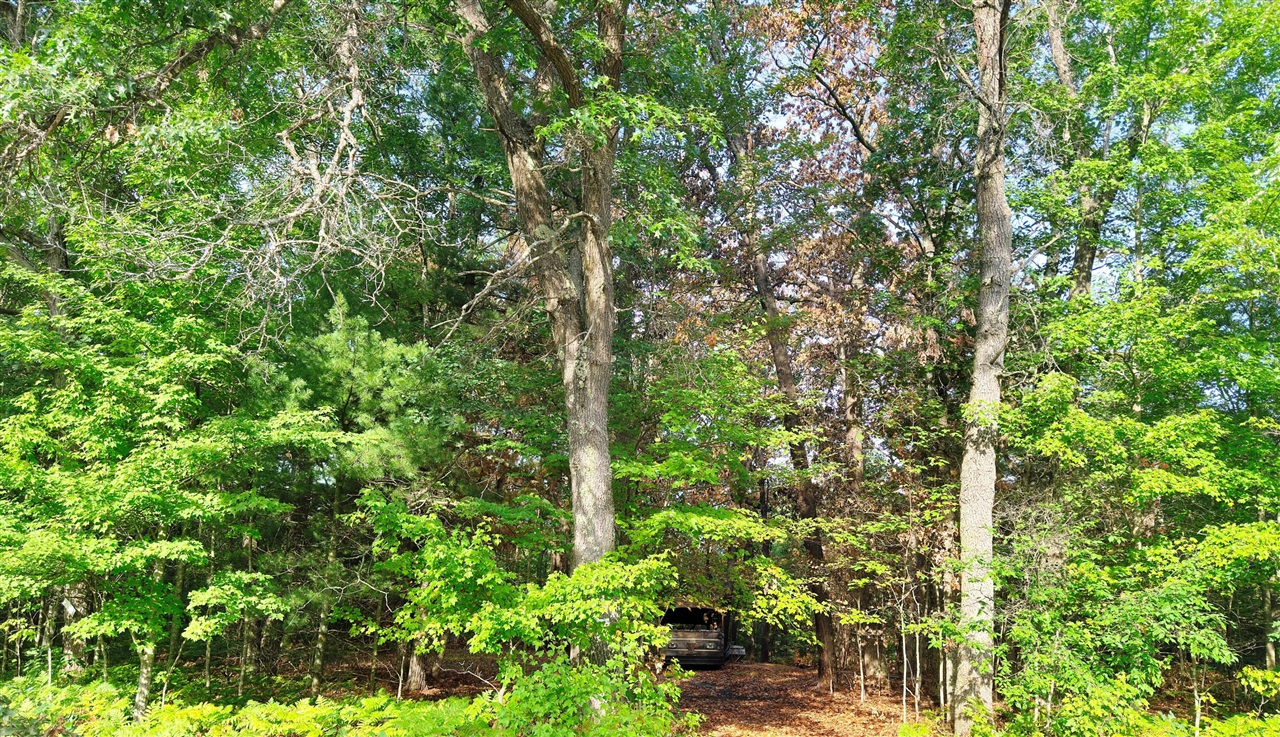 2679 S State Property Photo 1