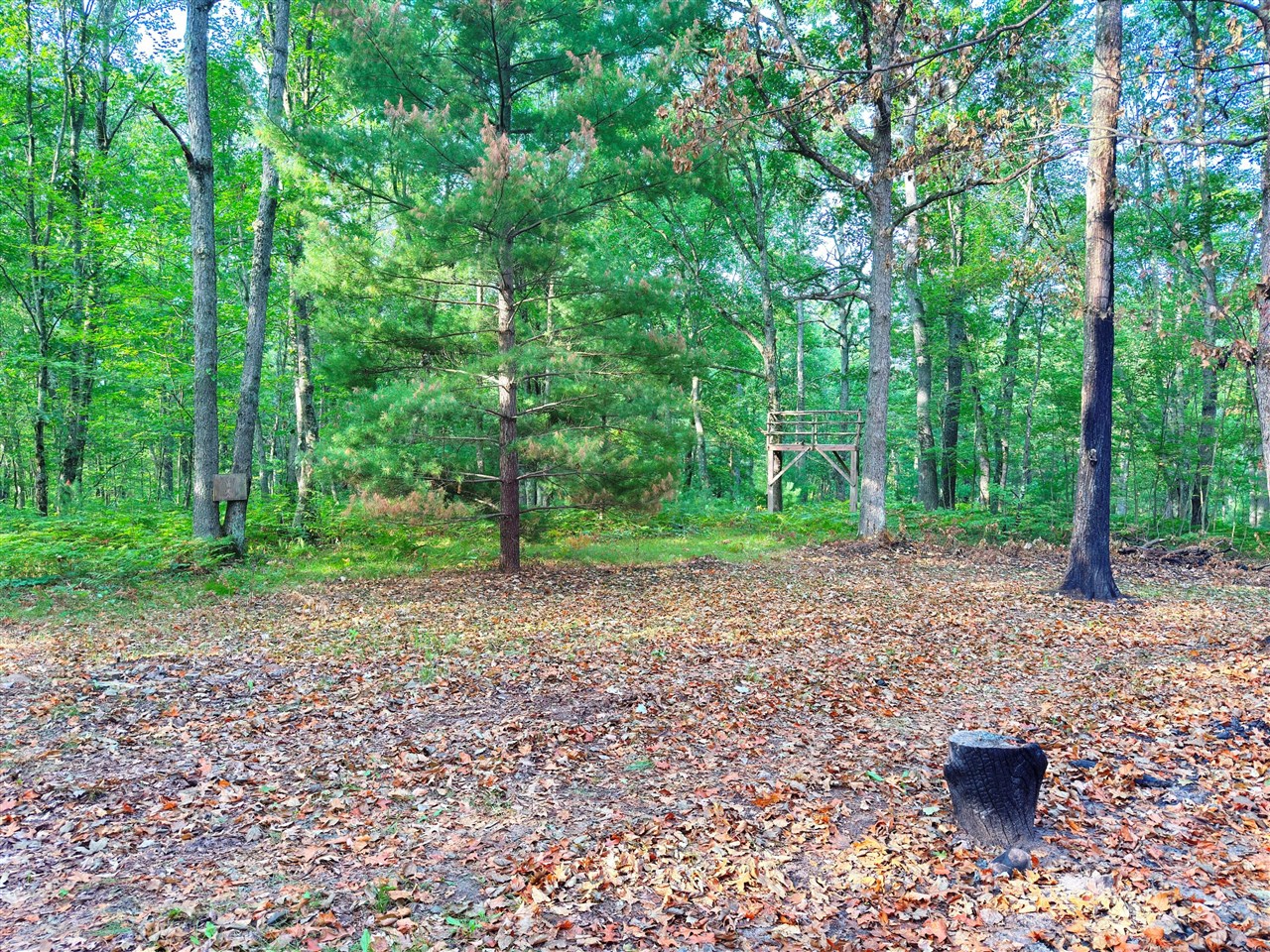 2679 S State Property Photo 2