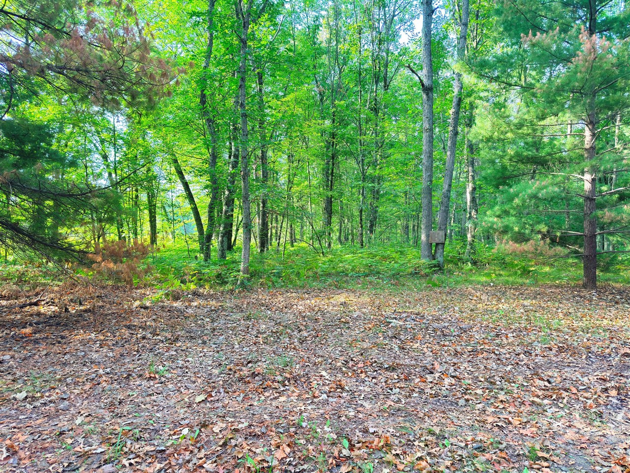 2679 S State Property Photo 3