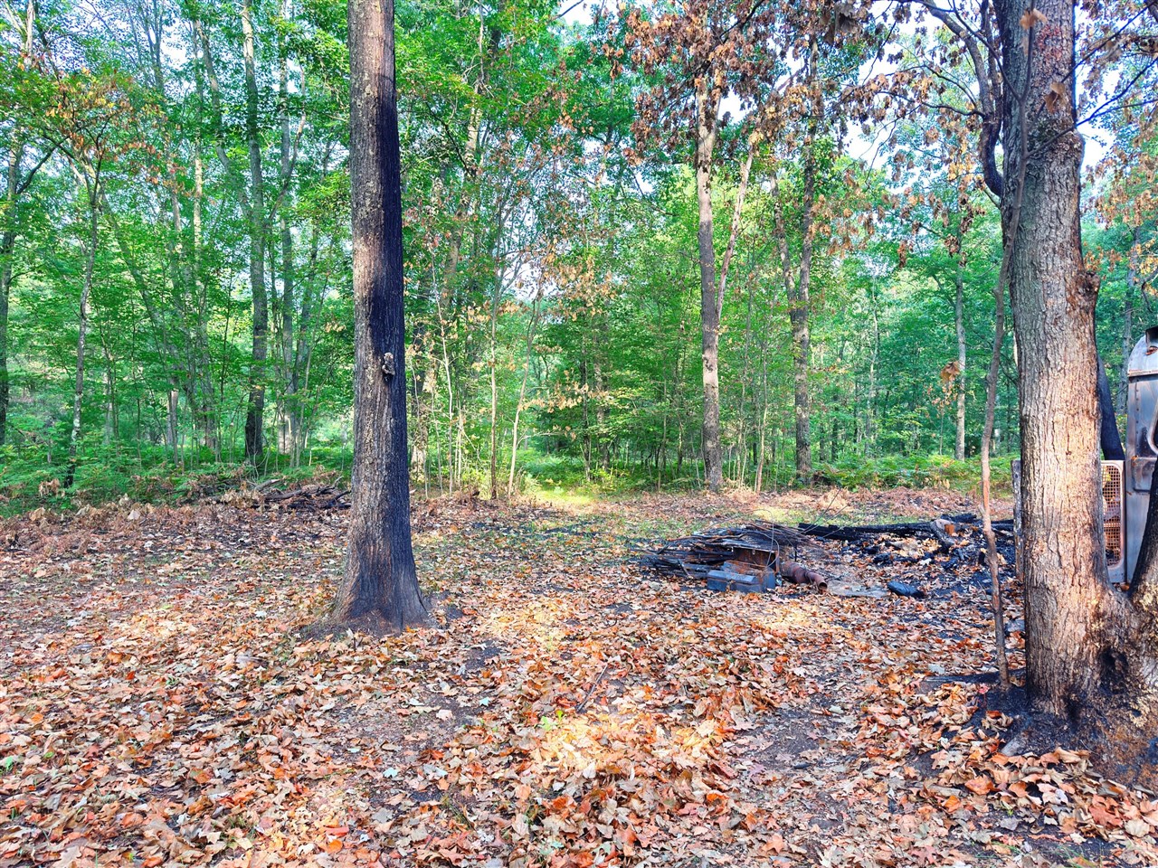 2679 S State Property Photo 5