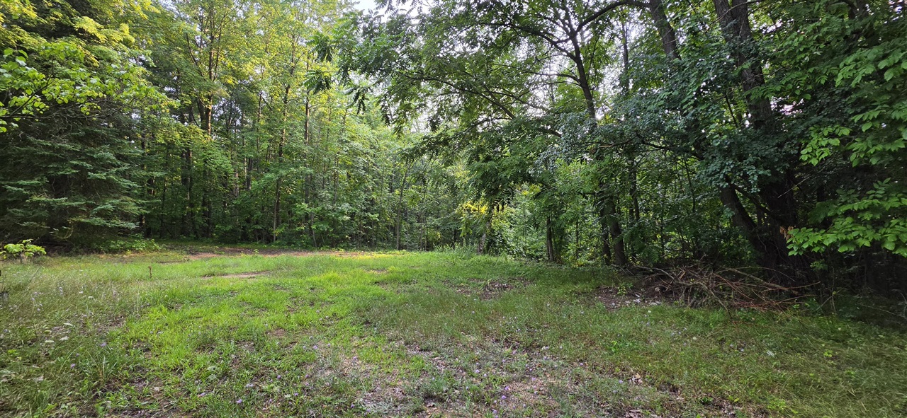 7925 Michigan 18 Property Photo 1