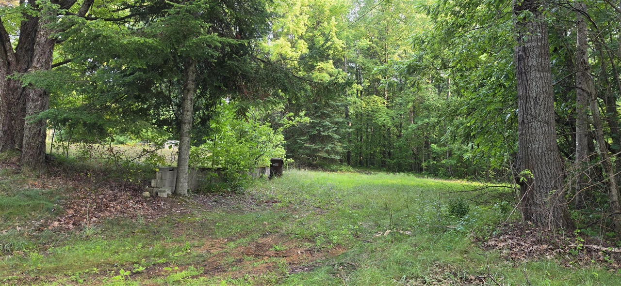 7925 Michigan 18 Property Photo 4