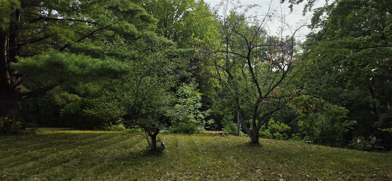 7925 Michigan 18 Property Photo 13