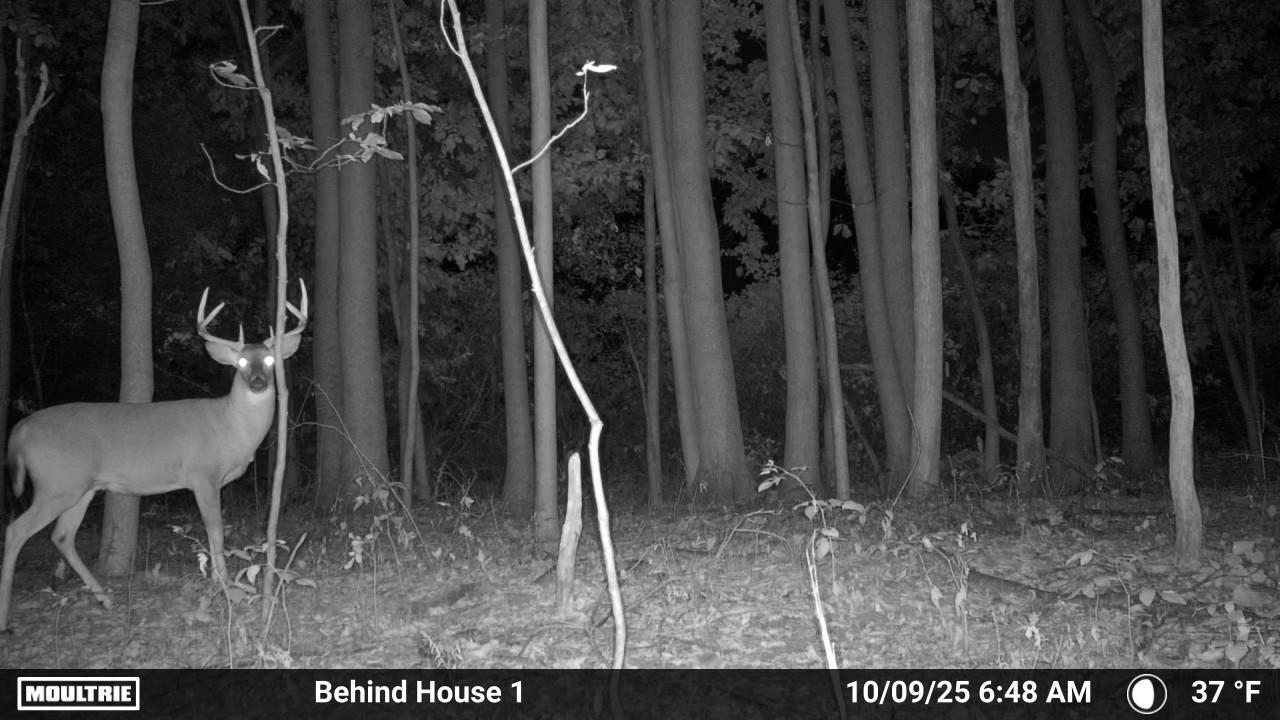 6830 S Warner Avenue Property Photo 28