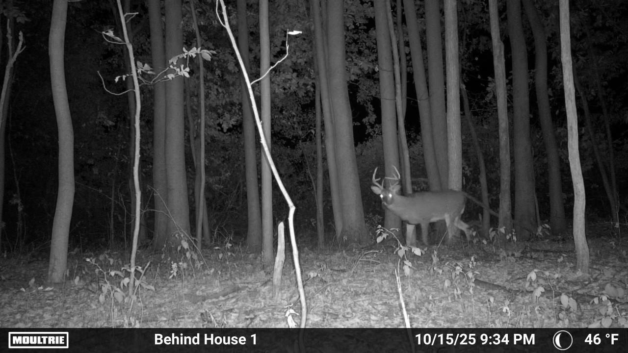 6830 S Warner Avenue Property Photo 29