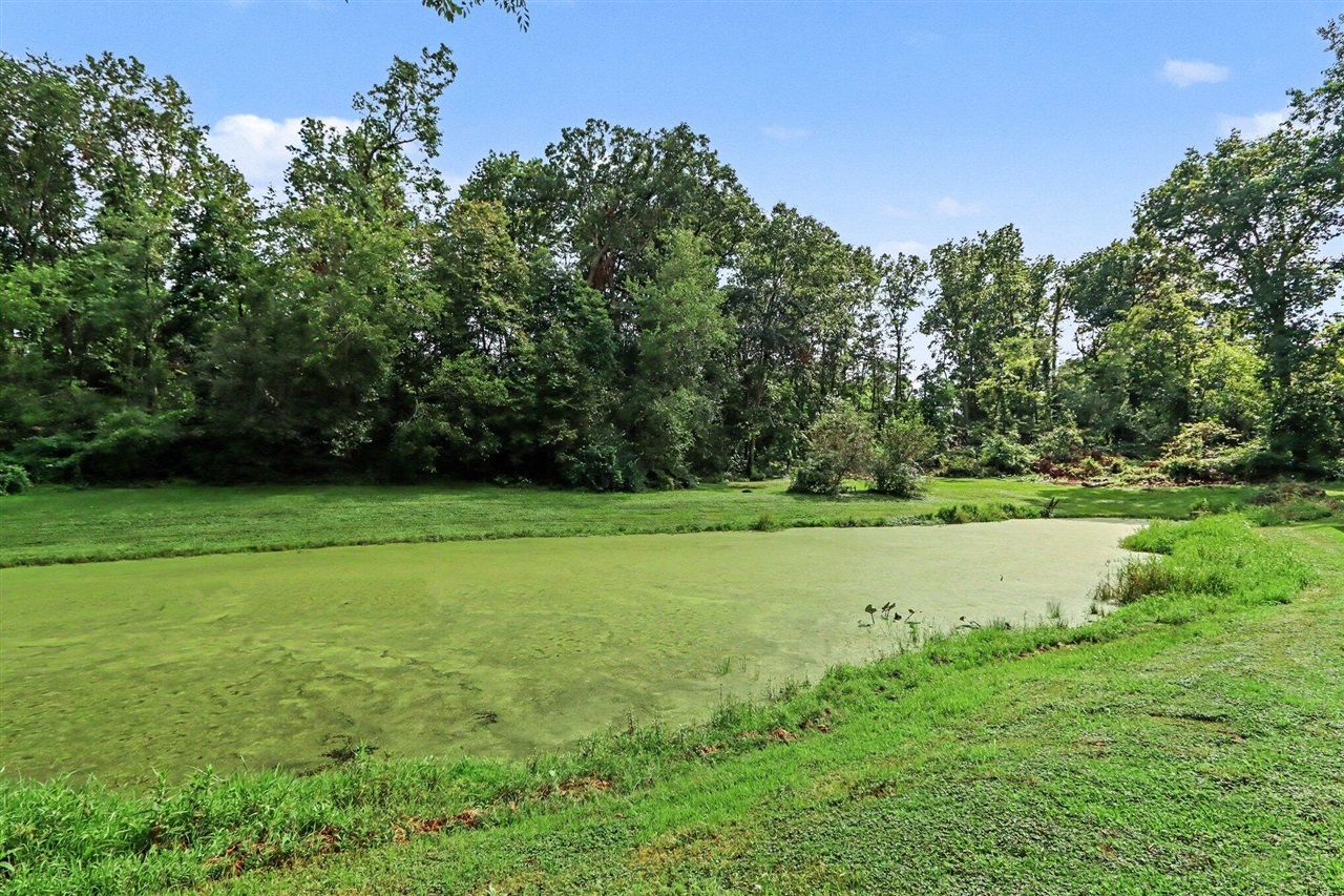 67747 Thunderbird Drive Property Photo 11