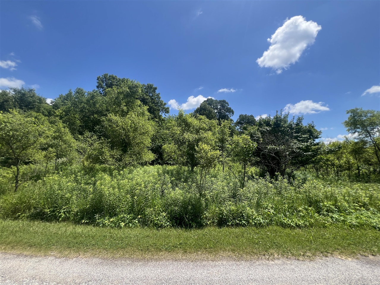 69535 Turkey Trail Drive Property Photo 5