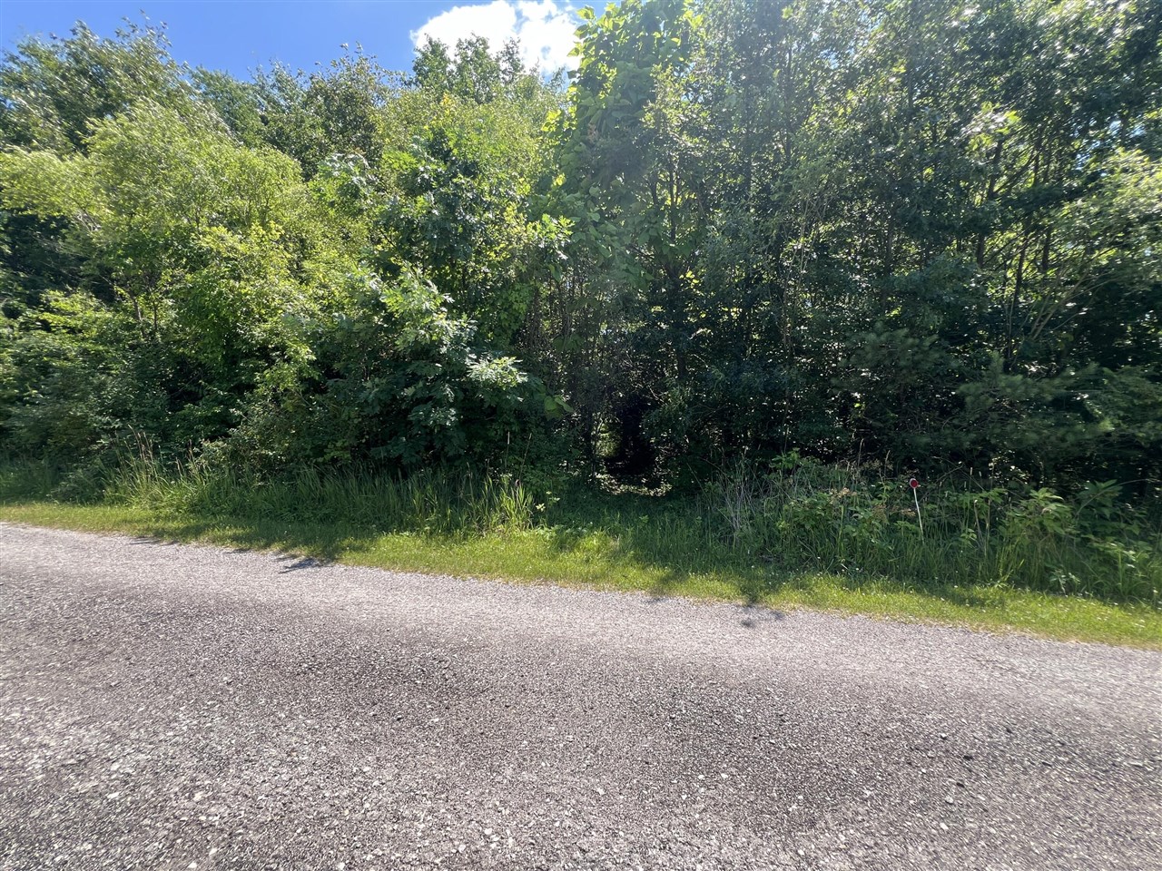 69535 Turkey Trail Drive Property Photo 6