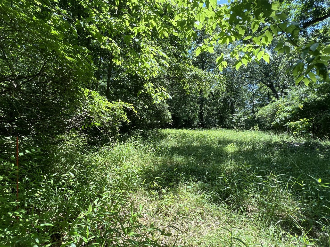 69535 Turkey Trail Drive Property Photo 8