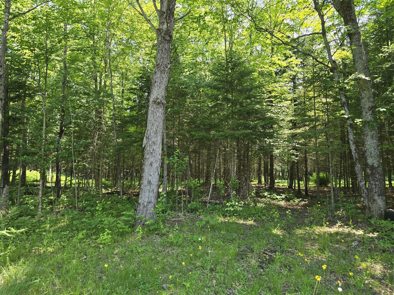 15067 S Kinross Road Property Photo 29