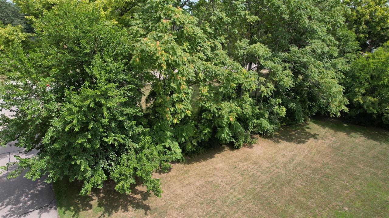 0 Delano Street Property Photo 5