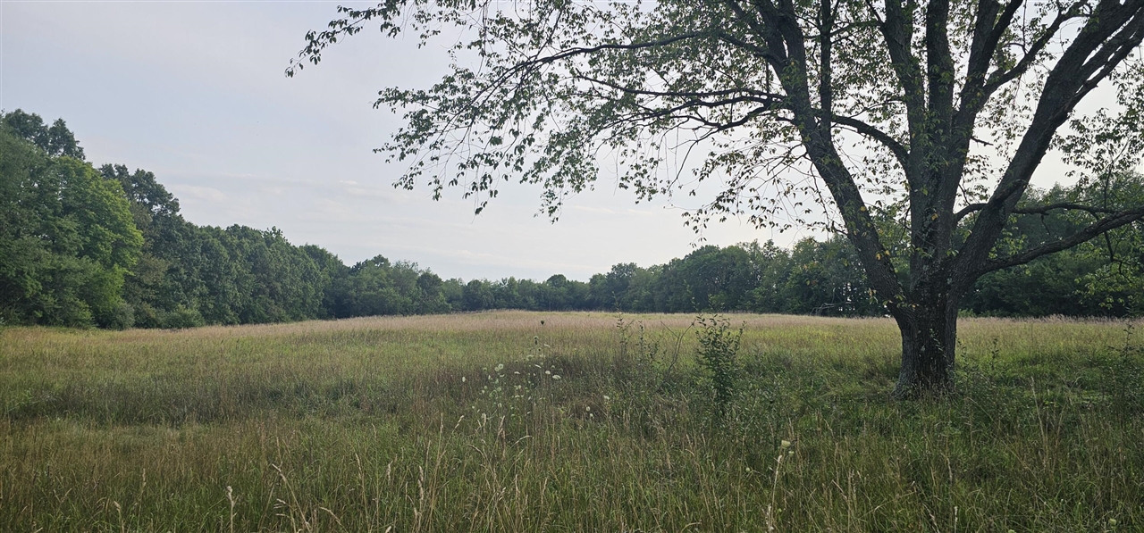 473 Block Road Property Photo 2