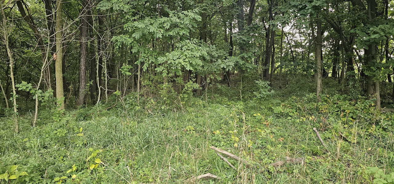 473 Block Road Property Photo 5