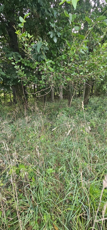 473 Block Road Property Photo 6