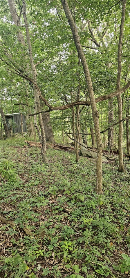 473 Block Road Property Photo 9