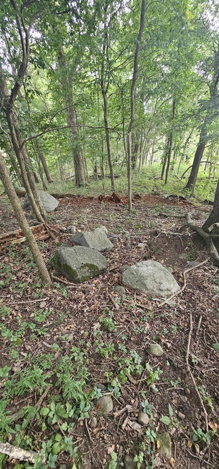 473 Block Road Property Photo 10