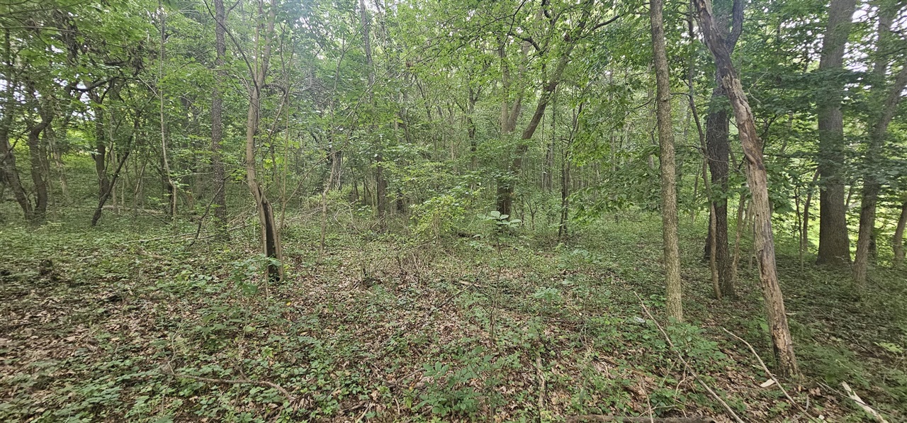 473 Block Road Property Photo 13