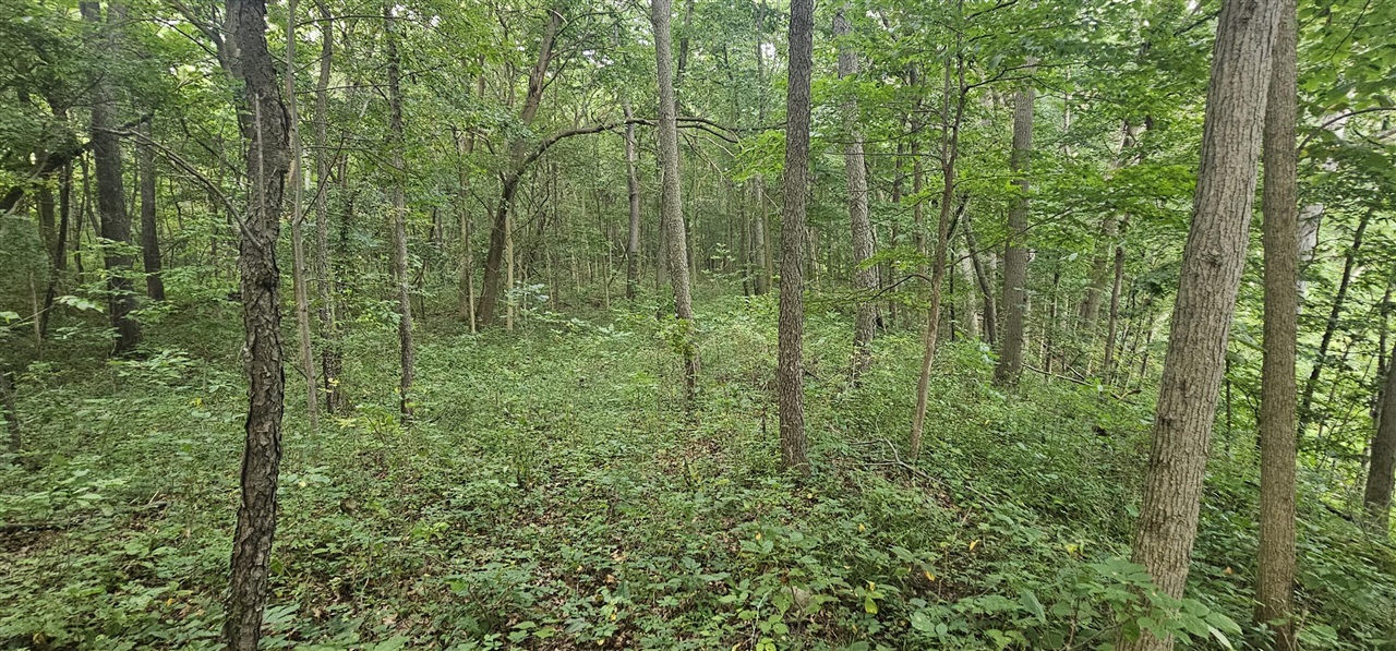 473 Block Road Property Photo 14