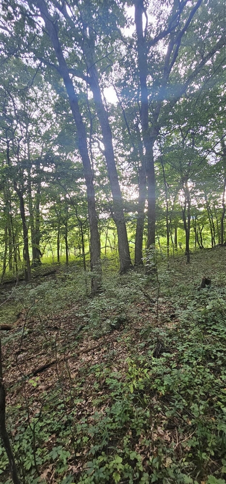 473 Block Road Property Photo 15