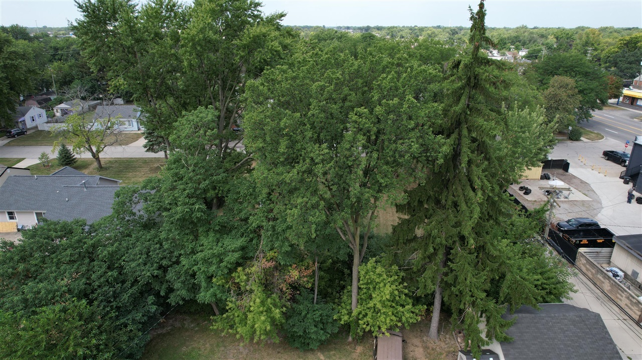 Hipp Street Property Photo 3