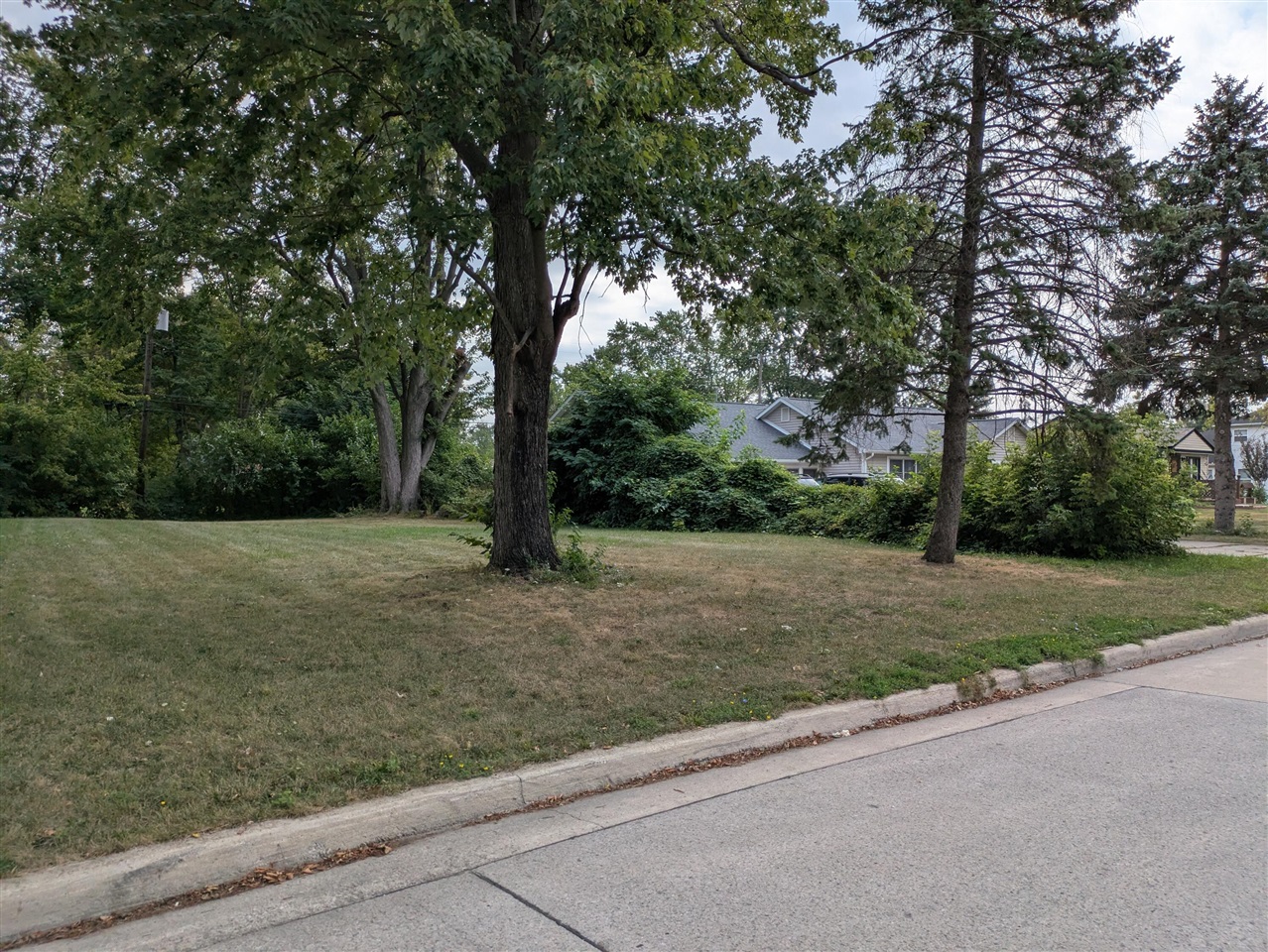 Hipp Street Property Photo 8