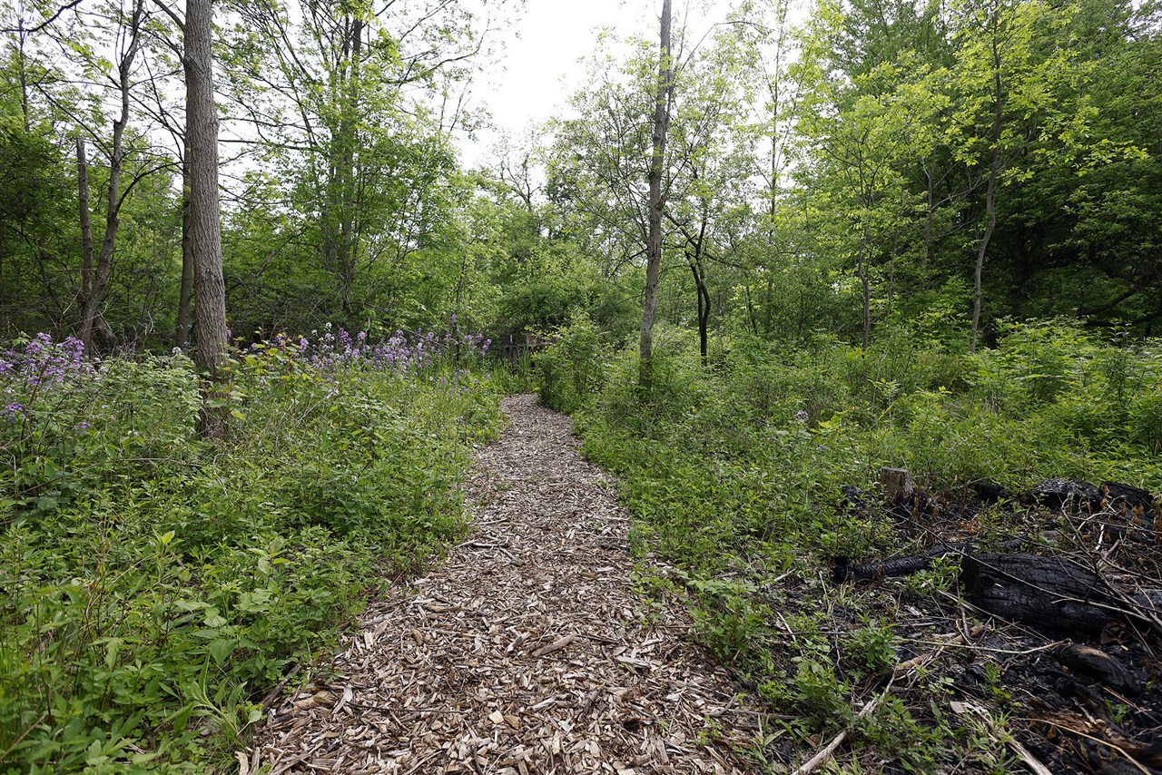 5801 N Territorial Road Property Photo 44