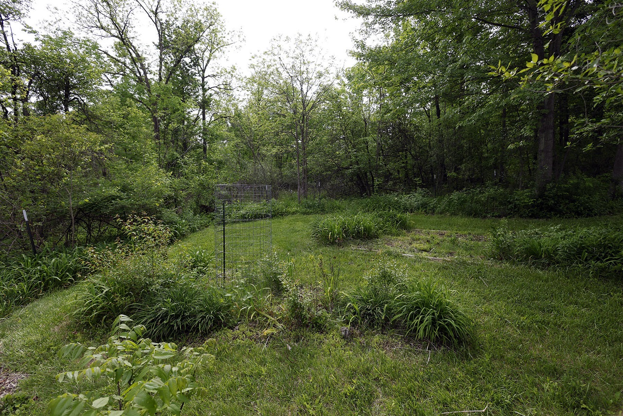 5801 N Territorial Road Property Photo 46
